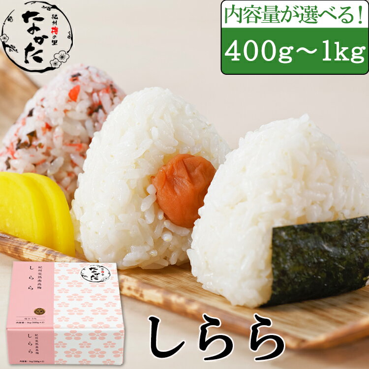 中田食品 紀州産南高梅 梅干し しらら 400g～1kg 減塩 梅干 塩分5% 父の日 プレゼント ギフト グルメ お取り寄せ 2024 食べ物 おすすめ 人気