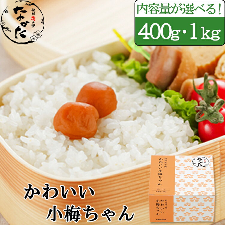 中田食品 かわいい小梅ちゃん 和歌山県産 紀州産小梅 塩分11% 400g /1kg しそ 梅 梅干 梅干し 梅ぼし 国産 プレゼント ギフト グルメ お取り寄せ 食べ物 おすすめ 人気 家庭用