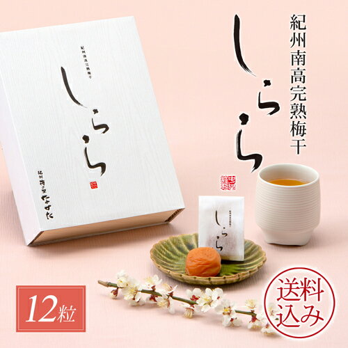 【送料込み】中田食品 紀州南高完熟梅干 しらら 12粒 梅干し 木箱 個包装 塩分5% 減塩 贈答 ギフト 包装あり お歳暮 冬ギフト