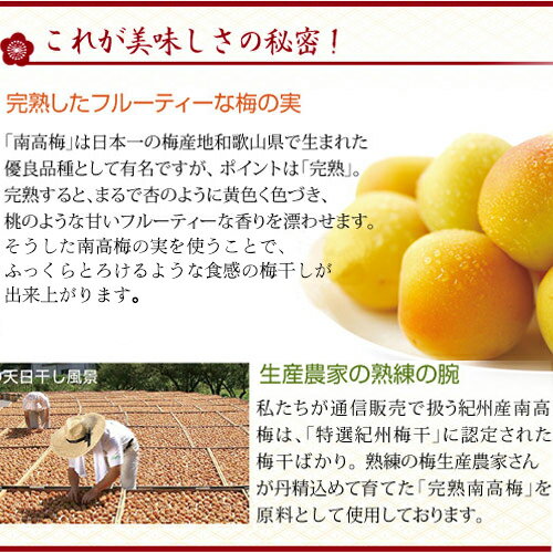 中田食品 紀州南高完熟梅干 心 (紀州しそ漬うめぼし) 12粒 / 20粒 塩分10% 和歌山...