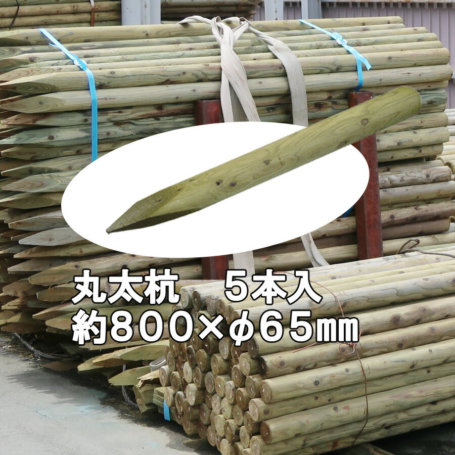 木杭　国産 杉 丸太杭【防腐防蟻処理済】しっかり＆長持ち 約800mm×φ65mm（5本入り）【植栽/樹木支柱/木杭/丸太杭/ローリング/丸棒杭/公園/ACQ/木材/木/公共/植木支柱/造園/間伐材/ガーデニング】