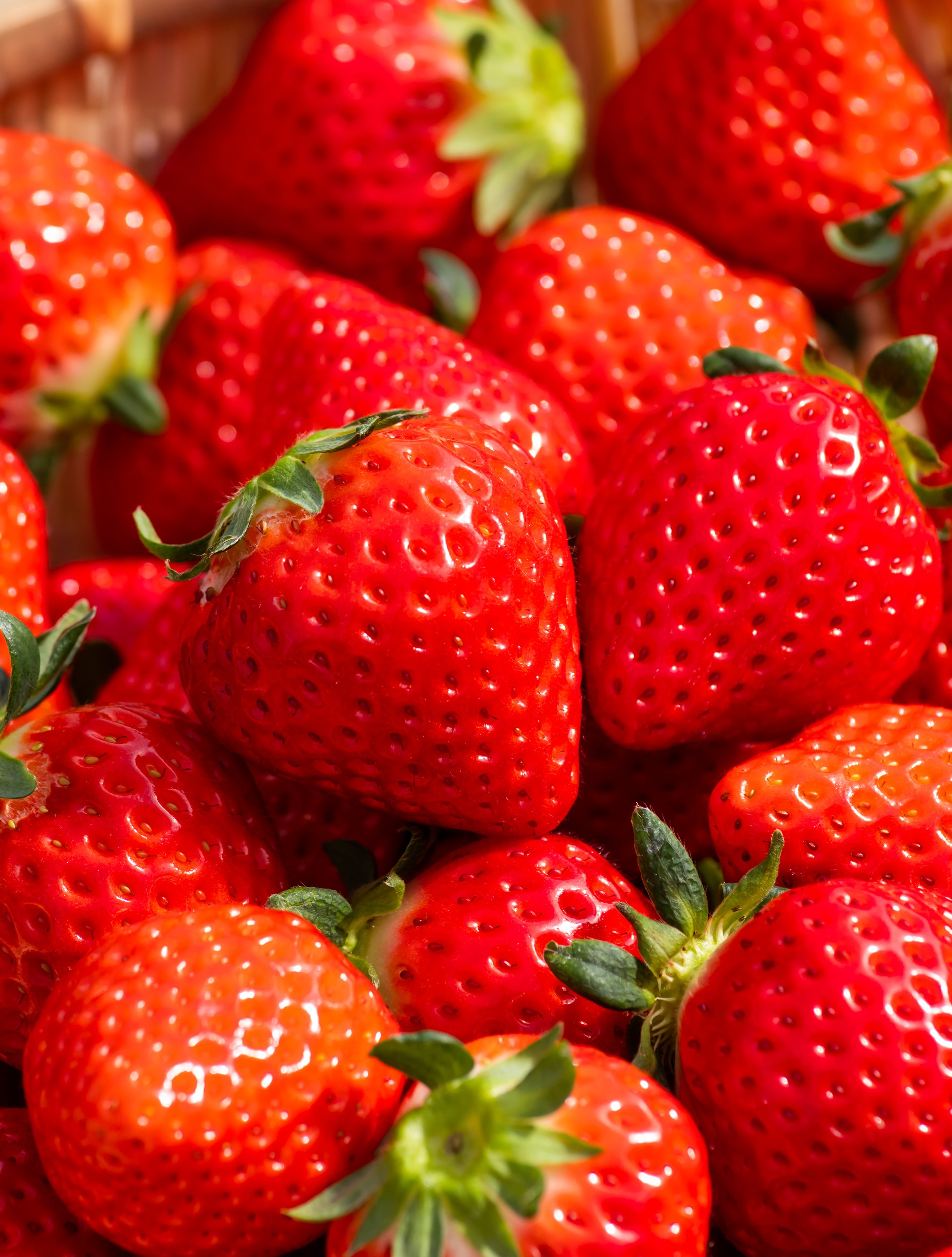 苺ビール いちご 完熟苺 【ストロベリーブラウンエール】 中土佐町産 苺を使った クラフトビール ！「いちごの甘酸っぱさと、カラメルモルトの香ばしさが共演！」3本ギフトセット送料込み（北海道・沖縄その他離島は別途追加料金）