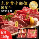 国産牛赤身希少部位焼肉セット2段重...