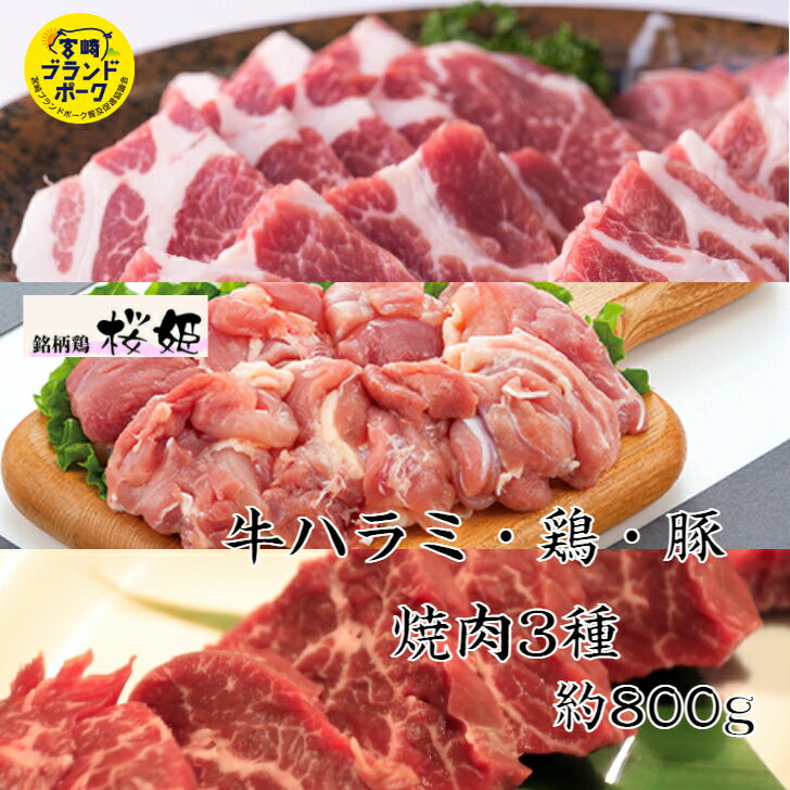 肉セット 3種あっさり焼肉セット 約800g 送料無料 焼肉 焼肉セット 焼肉プレート 焼き肉 豚 ブタ ハラミ とりもも 豚肉 牛肉 牛ハラミ 赤身肉 赤身焼肉 焼き肉セット国産