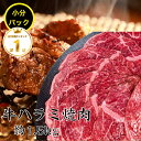 ハラミ焼肉 約1.5kg 送料無料 領収書 焼肉 やきにく 焼き肉 ハラミ 赤身肉 焼肉 牛肉 肉 焼肉赤身 赤身 焼肉 牛ハラミ 焼肉ハラミ 焼き肉セット赤身...