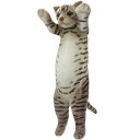 たっちぃZOOにゃんこサバトラ★この商品は日本国内販売の正規品です★《お買い物合計金額6,800円で送料無料!》(3)