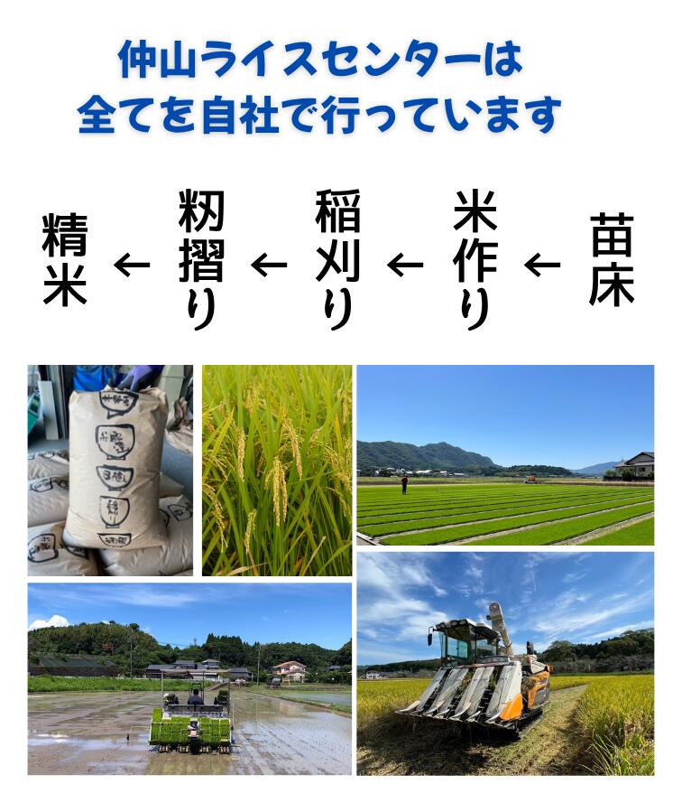 【 熊本県産 にこまる米 10kg 】 熊本 米 お米 にこまる 国産米 お米10キロ送料無料 白米10キロ送料無料 美味しいお米 国産米10キロ 米10キロ 九州 白米 ブランド米 精米 白米 結婚祝い 内祝い お返し 出産 ギフト 九州産 産地直送 ふっくら おにぎり 熊本の米 nakayama-rc-10000005 こめCLUBなかやま サンプル画像3