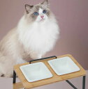 ペットフード 猫 フードボール フードボウル 食器台 おしゃれ ペット 餌皿 エサ皿 餌入れ エサ入れ 水飲み 器 小型犬 ネコ 子犬 子猫 陶器(4)