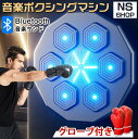 音楽ボクシングマシン スマート ディスプレイ付き 子供 大人 音楽ボクシングマシン 壁パンチングバッグ ボクシングトレーニングパンチング機器 スマート 音楽ボク...