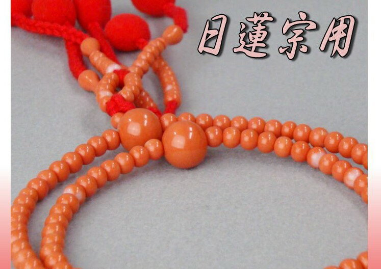 日蓮宗 本式数珠 上新赤珊瑚 共玉 8寸丸玉 綿房 赤 箱なし メール便送料無料 法華用 プラスチック製