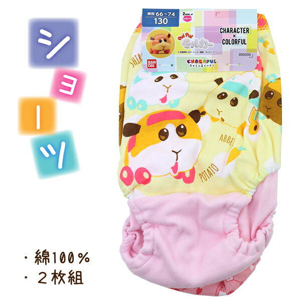 綿100％ 2枚組 PUIPUI モルカー 子供 キッズ 女児 ショーツ パンツ 下着 100-130cm 入園 入学 通園 通..