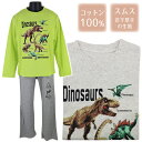綿100％ chuchum 恐竜×Dinosaurs 100-130cm 