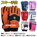 yBiFFA\[g(ws)z XL[ q LbY WjA  ĂԂ O[u JUNIOR GLOVES  w ʉ ʊw y(ō1000~̂グ)z