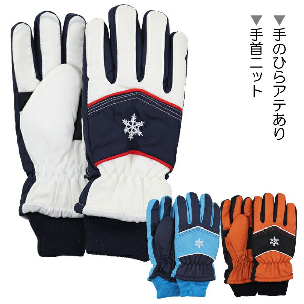 XL[ ̌hJ~b2{pCs q LbY WjA  ĂԂ O[u JUNIOR GLOVES  w ʉ ʊw yz