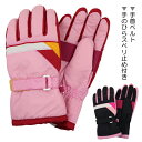 【訳アリ:在庫処分 等】 スキー手袋 カラー切替 子供 キッズ ジュニア 手袋 てぶくろ グローブ EGAL 入園 入学 通園 通学 【送料無料(税込1000円のお買上げが条件)】