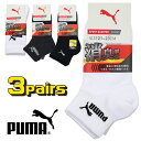 PUMA v[} ~jN[ N[ \bNX X|[c\bNX 3g q LbY WjA SOX C  LH v  w ʉ ʊw yz