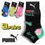 ꡧ߸˽ʬ  PUMA ס ˡ ߥ˾楯롼 å 3­ Ҷ å ˥  SOX  Ĳ ƾ   ̱ ̳ ̵