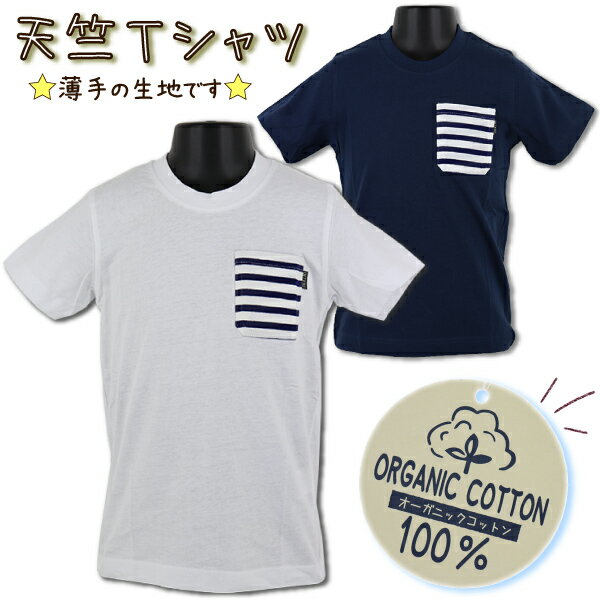 【訳アリ：汚れ・在庫処分 等】 Sn't Kids 100-160cm 子供 キッズ 半袖 天竺 無地 Tシャツ 無地T オーガニックコットン100％ 綿100％ 入園 入学 通園 通学【送料無料(税込1000円のお買上げが条件)】