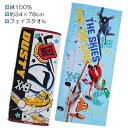【訳アリ:日焼け 等】 プレーンズ PLANES フェイスタオル タオル 綿100% 約34×78cm 入園 入学 通園 通学 【送料無料(税込1000円のお買...