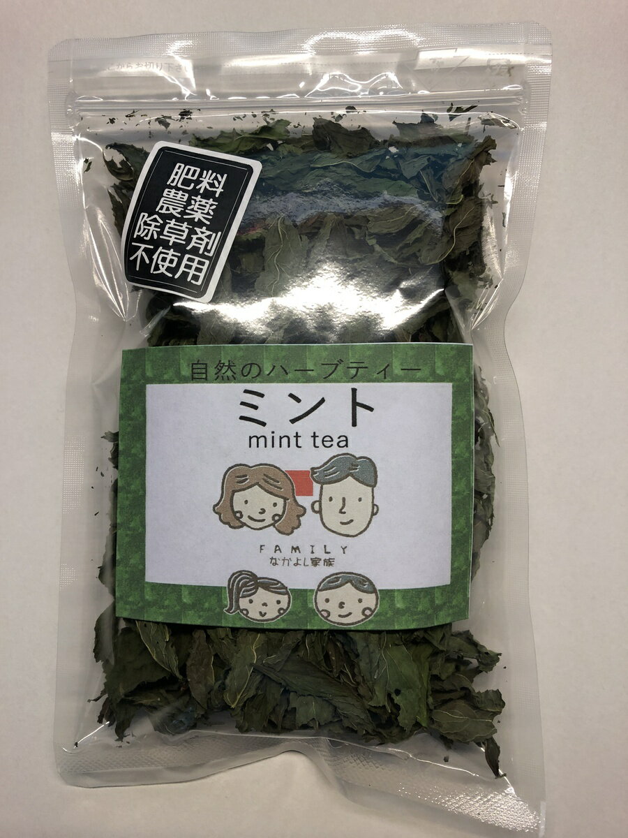 国産 岐阜県産 自然のミント10g 自然栽培 農薬不使用 無肥料 除草剤不使用 送料無料