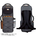 ☆BAM アルトサックス ケース PEAK（ピーク） PEAK3021SN 【収納スペースUP】【耐摩耗性と耐水性に優れた合皮素材】