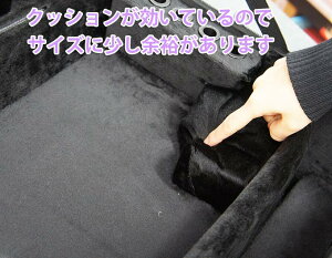 【送料無料】新デザイン!!PROTECHプロテックトランペット&フリューゲルホルンダブルケースPB-301F