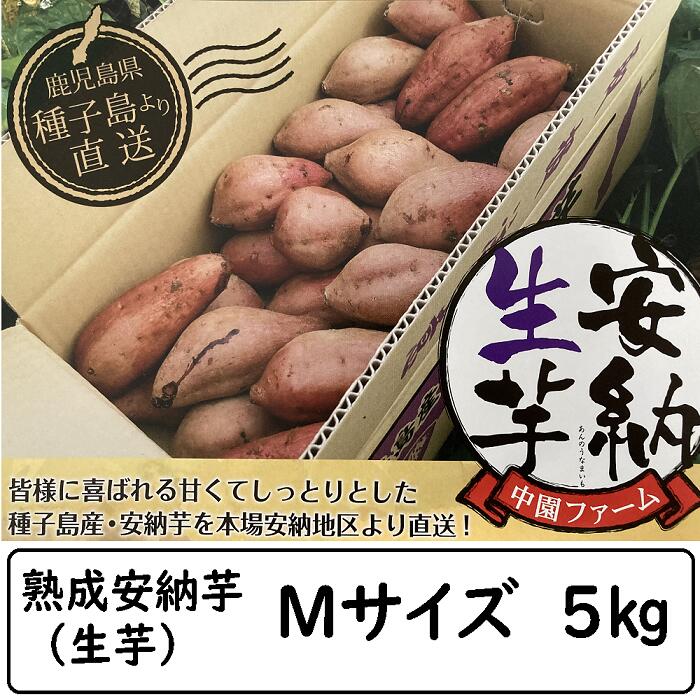 お得なまとめ買い!中園ファーム 熟成安納芋 さつまいも Mサイズ 5キロ×4箱 種子島 安納地区 安納芋発祥の地 みついも 蜜芋