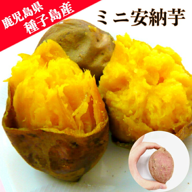 ミニ安納芋種子島産2kg～送料無料...