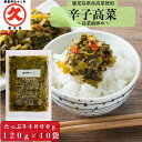 辛子高菜 高菜油炒め 鹿児島県産 120g×40袋 (4800g)【送料無料】 中園久太郎商店 国産 漬物 お漬物 食品 たかな 高菜炒め 油炒め 常温保存 ラ...