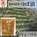鹿児島特産 つぼ漬 無着色 1cs(1kg×12入) 業務用 大容量 鹿児島県産 干し大根 中園久太郎商店 創業明治45年 九州 鹿児島 かごしま 伝統 お漬物...