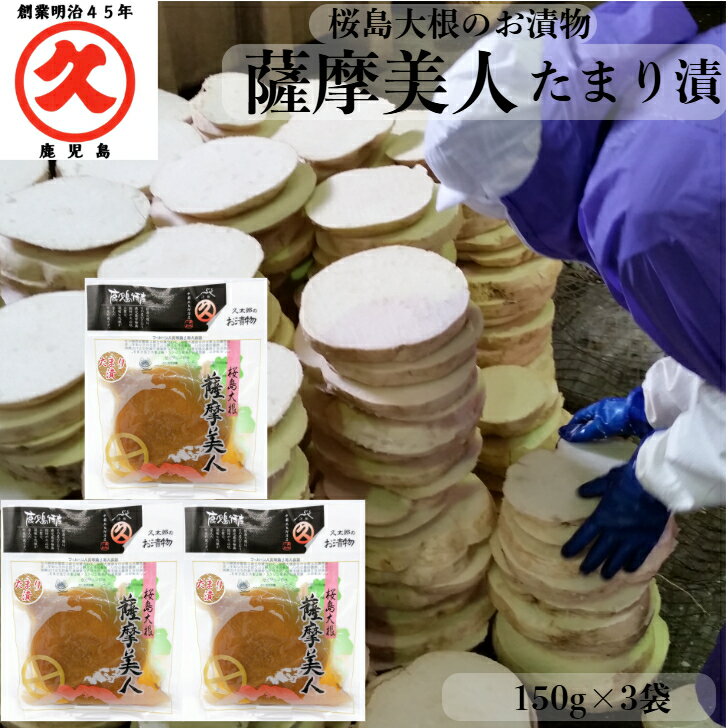 薩摩美人 たまり漬 150g × 3袋 送料無料 ゆうパケット 中園久太郎商店 しょうゆ漬け 桜島大根 世界一 大きい 大根 お漬物 鹿児島 取り寄せ 乳酸発酵...