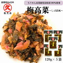 久太郎 梅高菜 120g×5袋 送料無料 国産 鹿児島 高菜 梅味 漬け物 たかな しば漬け 漬物 お取り寄せ お漬物 柴漬け 漬物セット ご飯がすすむ 付け合わせ ご飯のお供 美味しい お漬け物 九州 高菜漬け 発酵食品 ご飯にのせる お弁当のおかず つけもの お酒のおつまみギフト