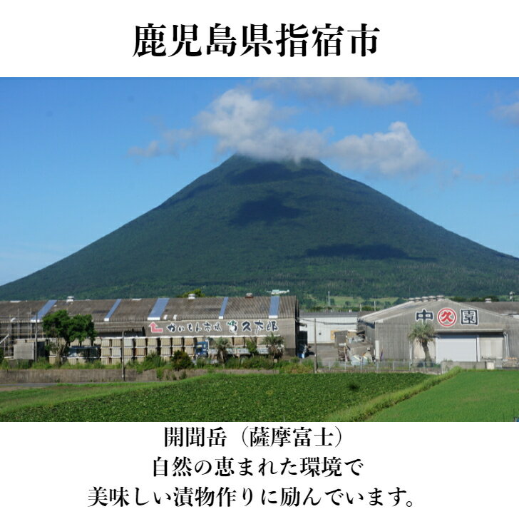 熟成黒らっきょう漬100g鹿児島老舗中園久太郎商店中園久太郎国産らっきょうらっきょう漬黒酢黒糖純黒糖はちみつ乳酸発酵発酵発酵食品漬物漬け物お漬物ご飯のお供無添加食品添加物不使用添加物不使用母の日