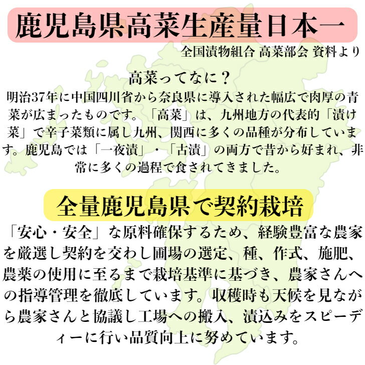 久太郎 梅高菜 鹿児島県産 120g × 5袋 送料無料 ゆうパケット 創業明治45年 中園久太郎商店 国産 鹿児島 高菜 乳酸発酵 発酵 発酵食品 漬物 漬け物 お漬物 ご飯のお供 食品 しば漬け リピート お得 梅味 サッパリ セール 父の日 お中元