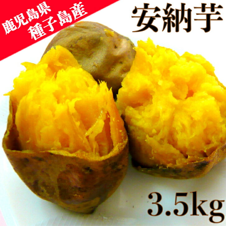 種子島産 安納芋 3.5kg 《送料無料》 鹿児島県産 中園久太郎商店 さつまいも 契約栽培 自社 一括管理 低農薬 焼芋 焼き芋 やきいも 贈答用 形揃い ギフト 予約開始 安納いも スイーツ プレゼント 認証 安心 安全 蜜芋 芋 熟成 食品のサムネイル