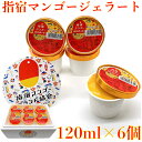 指宿マンゴージェラート 120ml×6個セット 送料無料 指宿産マンゴー使用 指宿マンゴーブランド協会 鹿児島 鹿児島土産 お取り寄せ スイーツ アイス 鹿児島...