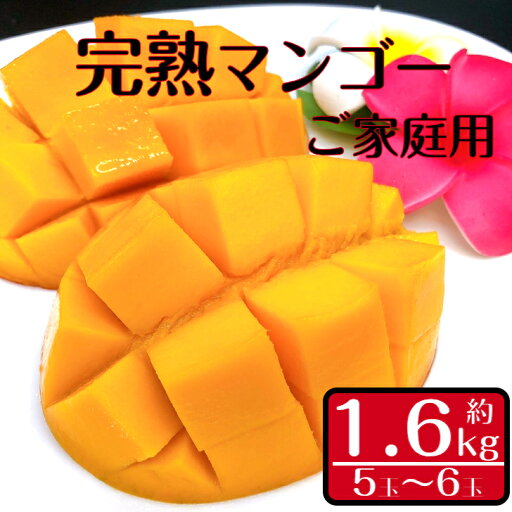 ご家庭用 鹿児島県指宿市産 完熟マンゴー 5玉〜6玉 約1.6kg 指宿 訳あり 果皮に色むらや傷があるものや規格外サイズ 味や品質には影響なし 美味しい 南国 フルーツ 濃厚 マンゴー 中園久太郎商店 ご家庭用 鹿児島県指宿市産 完熟マンゴー 5玉〜6玉 約1.6kg 指宿 訳あり 果皮に色むらや傷があるものや規格外サイズ 味や品質には影響なし 美味しい 南国 フルーツ 濃厚 マンゴー 中園久太郎商店