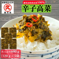 【4月から値上げ】辛子高菜 高菜油炒め 鹿児島県産 120g×5袋 (600g) 送料無料 国産...