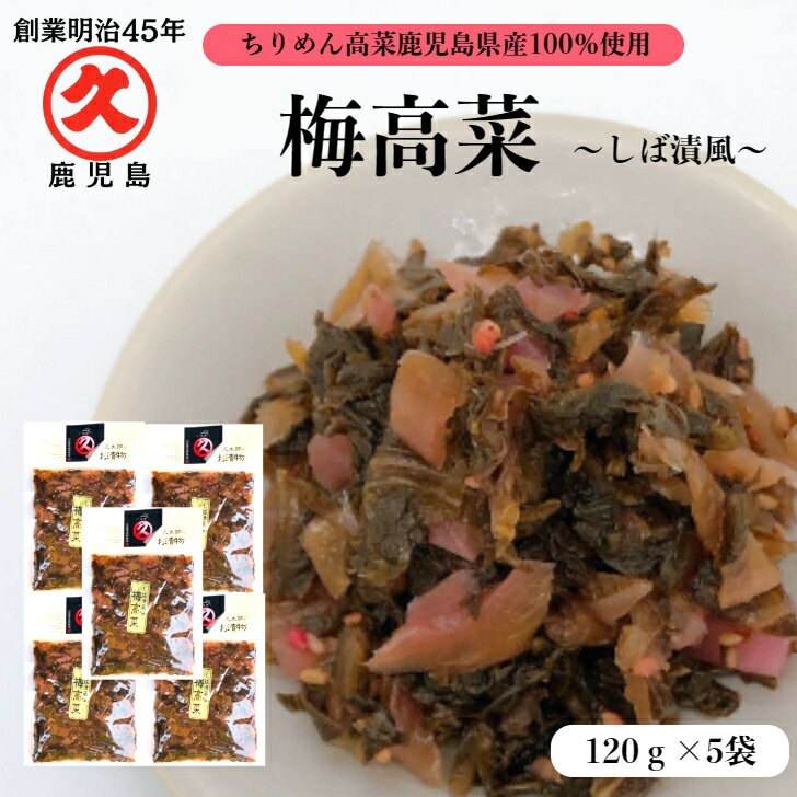 久太郎 梅高菜 120g × 5袋 送料無料 ゆうパケット 創業明治45年 中園久太郎商店 国産 鹿児島 高菜 乳酸発酵 発酵 発…