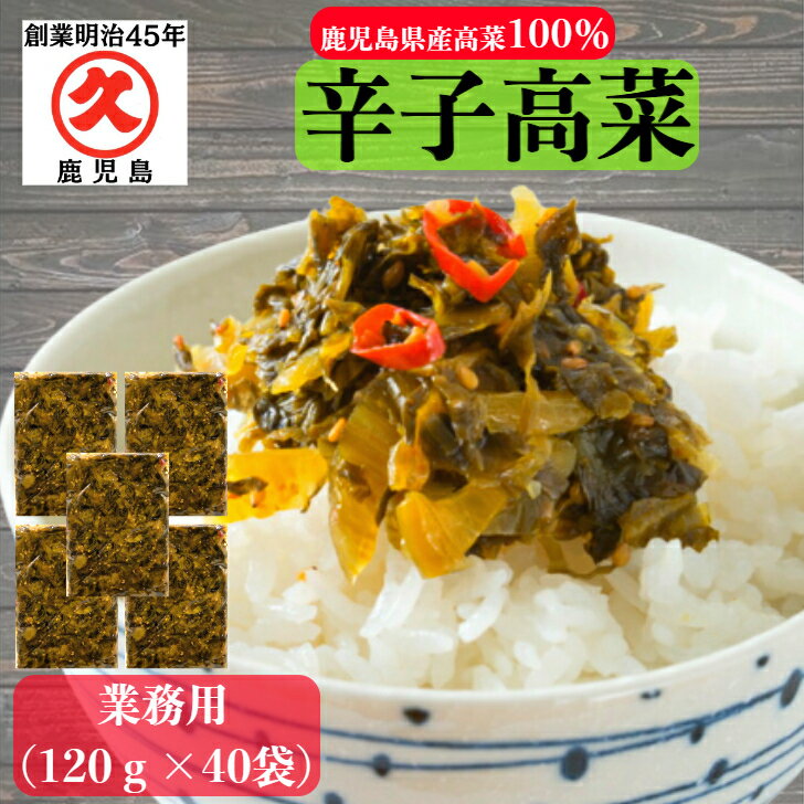 辛子高菜 高菜油炒め 鹿児島県産 120g×40袋 (4800g)【送料無料】 中園久太郎商店 国産 漬物 お漬物 食品 たかな 高菜…