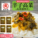 辛子高菜 高菜油炒め 鹿児島県産 120g×4袋 (480g)【送料無料】 郵便 ゆうパケット 中園 ...