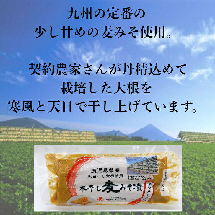 本干し麦みそ漬 1cs20個入 ≪送料無料≫ 鹿児島県産 みそ漬け みそ漬 沢庵 寒干し大...