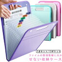 日用品 テスト 整理整頓 13ポケット 文具 仕切り ファイルケース 学校 大容量 プリント 無地 2点セット 仕事 デスクワーク a4 文房具 オフィス 防水...