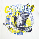 【割引クーポン配布中】 STAPLE (ステイプル) Tシャツ PHOTO PIGEON LOGO TEE 半袖 カットソー トップス メンズ M-XL ホワイト 2101C6393 【単品購入の場合はネコポス便発送】【セール】 2