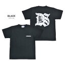 【割引クーポン配布中】 DOUBLE STEAL (ダブルスティール) Tシャツ DS PAISLEY S/S T-SHIRT TEE 半袖 カットソー トップス メンズ ブラック ホワイト M-XL 921-14004 【単品購入の場合はネコポス便発送】【RCP】 2