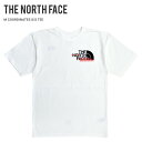 【割引クーポン配布中】 THE NORTH FACE (ノースフェイス) Tシャツ COORDINATES S/S TEE 半袖 カットソー トップス メンズ S-XL ホワイト NF0A5GES 【単品購入の場合はネコポス便発送】【RCP】【バーゲン】