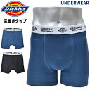 【割引クーポン配布中】 DICKIES ディ