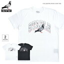  STAPLE (ステイプル) Tシャツ COLLEGIATE STACK LOGO TEE 半袖 カットソー トップス メンズ M-XL ブラック ホワイト 2105C6584 