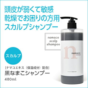 シャンプー/480ml 黒なまこエキス配合 スカルプシャンプー アミノ酸系 馬油 炭 ホホバオイル配合 無香料 石油系界面活性剤不使用