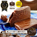 夏ギフト お中元 人気 スイーツ 極上の口溶け 生 ガトーショコラ 500g 高級 敬老の日 濃厚 送料無料 個包装 お取り寄せ おうち デザート ホール ショコラテリーヌ チョコレートケーキ チョコ テリーヌ 生チョコ ケーキ フォンダンショコラ グルテンフリー ギフト